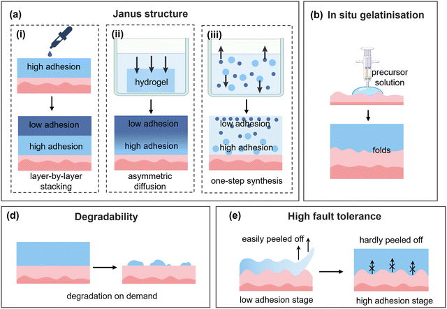 image file: d5cs00403a-f9.tif