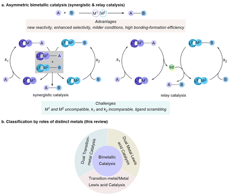 image file: d5cs00413f-s1.tif