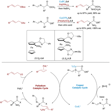 image file: d5cs00413f-s12.tif