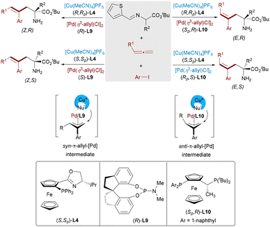 image file: d5cs00413f-s17.tif