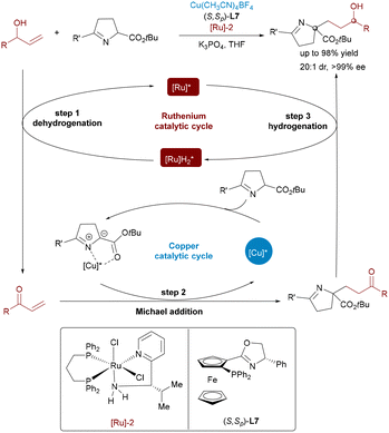 image file: d5cs00413f-s42.tif