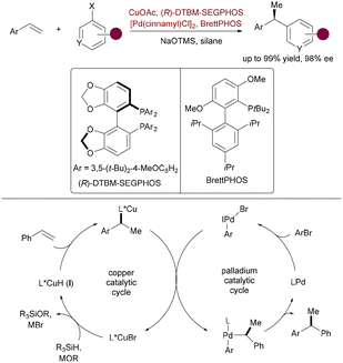 image file: d5cs00413f-s56.tif