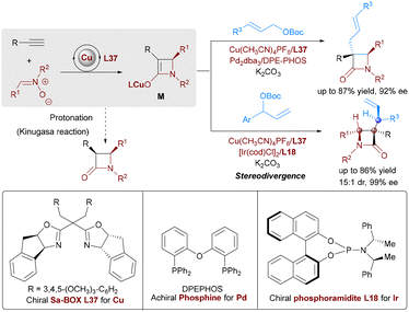 image file: d5cs00413f-s62.tif