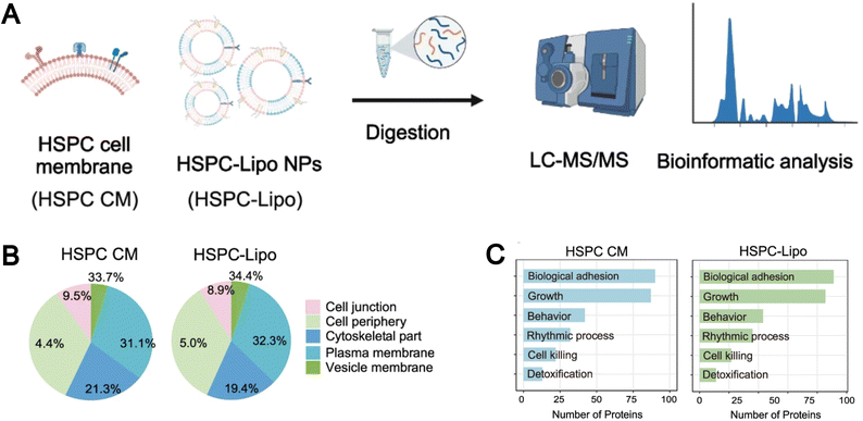 image file: d5cs00440c-f10.tif