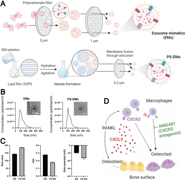 image file: d5cs00440c-f11.tif