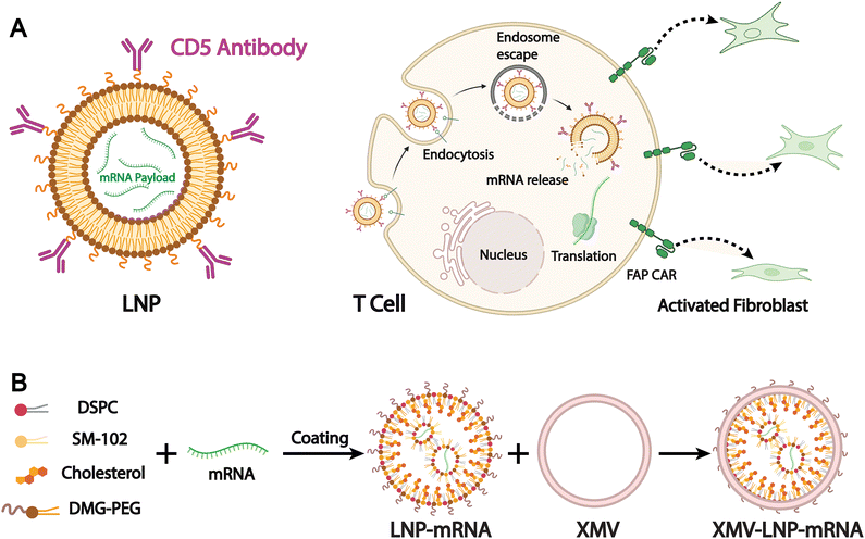 image file: d5cs00440c-f12.tif