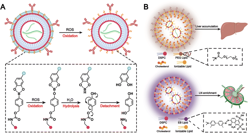 image file: d5cs00440c-f14.tif