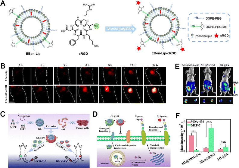 image file: d5cs00440c-f15.tif
