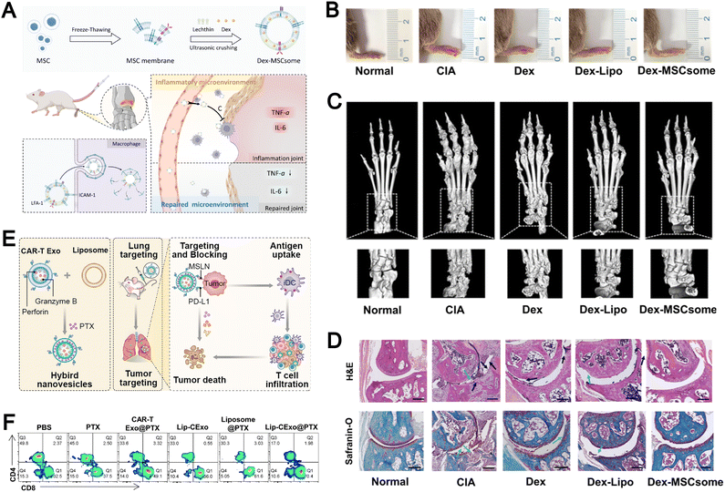 image file: d5cs00440c-f16.tif
