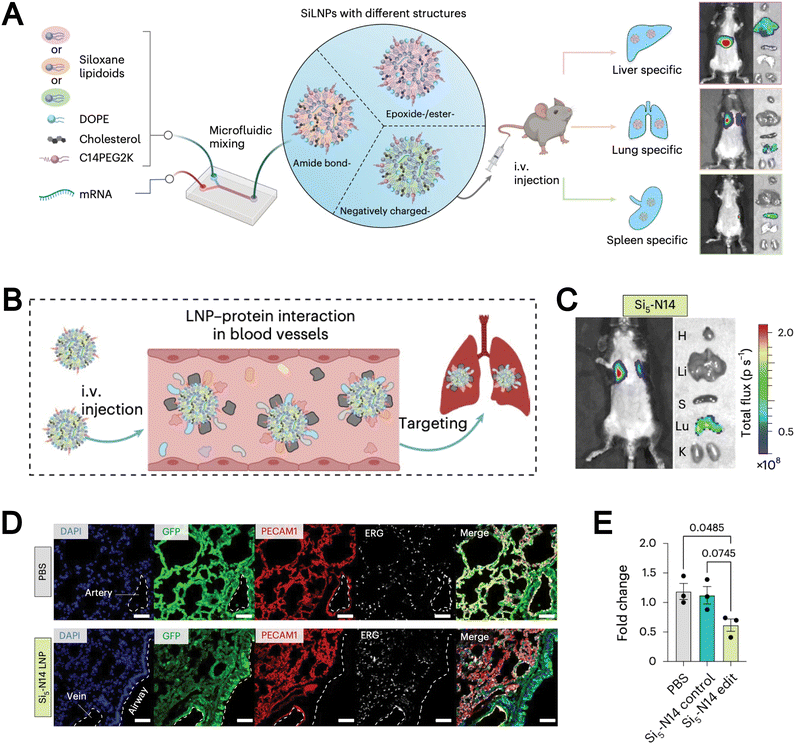 image file: d5cs00440c-f17.tif