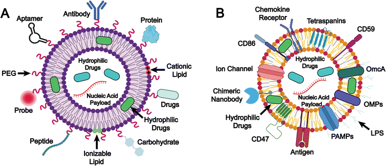 image file: d5cs00440c-f2.tif
