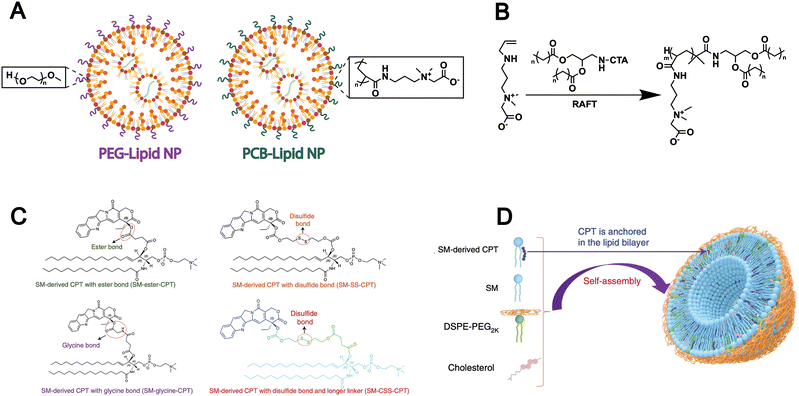 image file: d5cs00440c-f4.tif