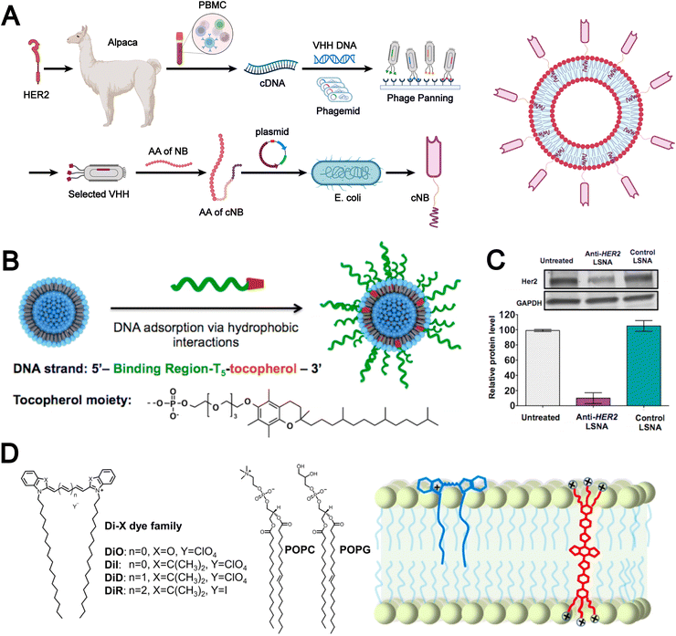 image file: d5cs00440c-f5.tif