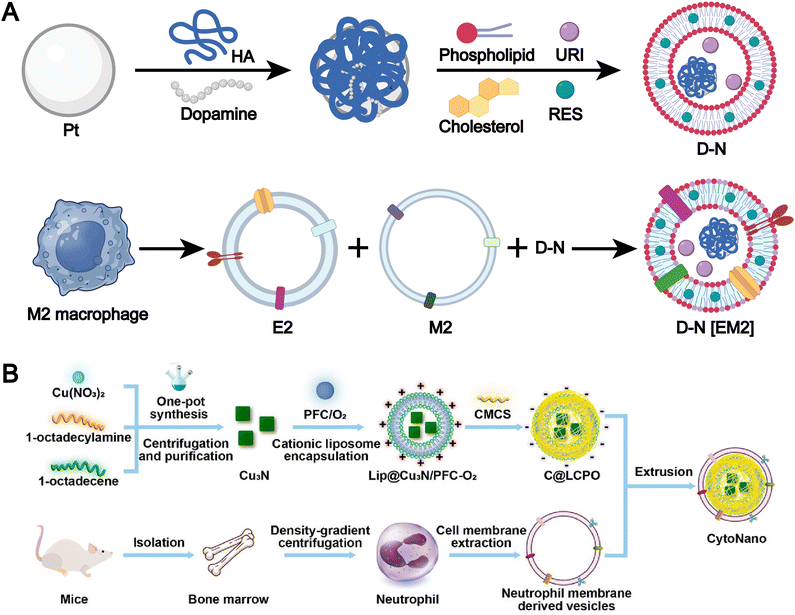 image file: d5cs00440c-f7.tif