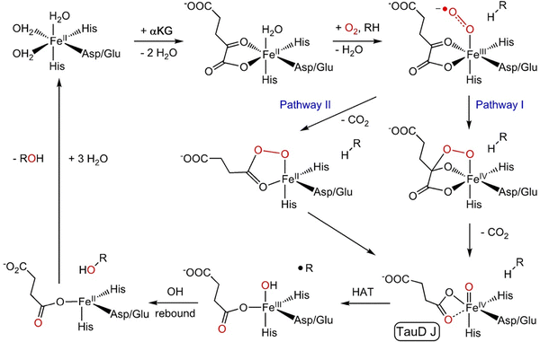 image file: d5cs00496a-s1.tif