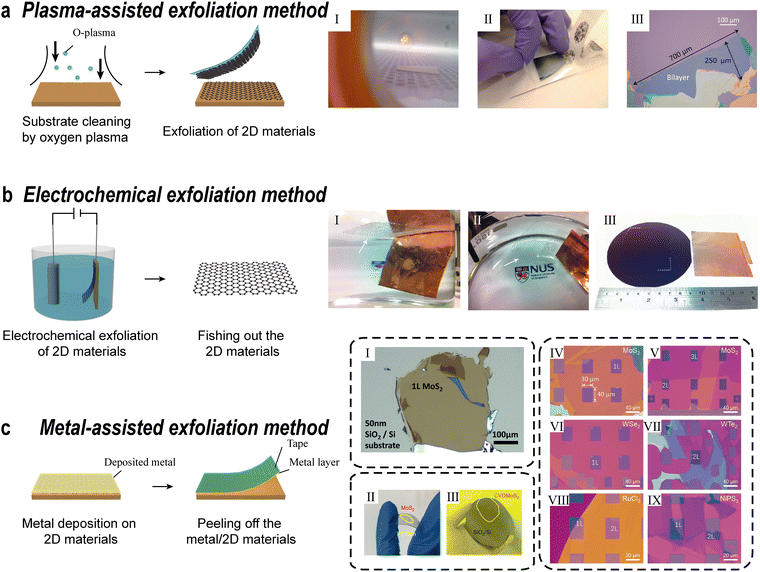image file: d5cs00531k-f1.tif