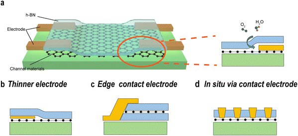 image file: d5cs00531k-f11.tif