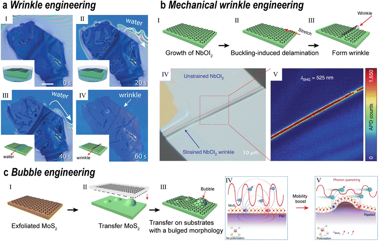 image file: d5cs00531k-f13.tif