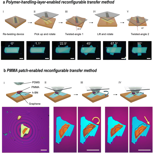 image file: d5cs00531k-f17.tif