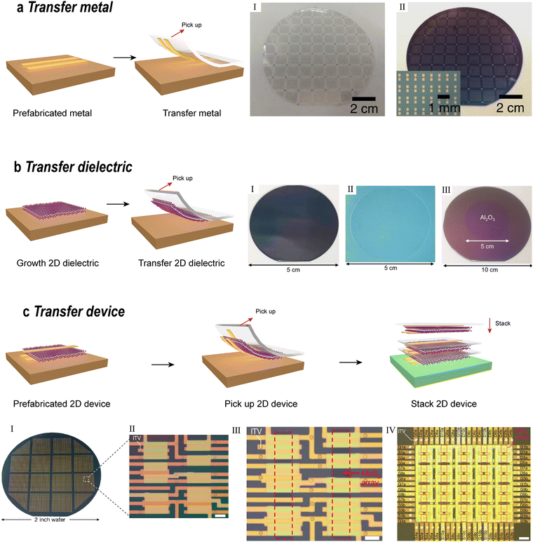 image file: d5cs00531k-f19.tif