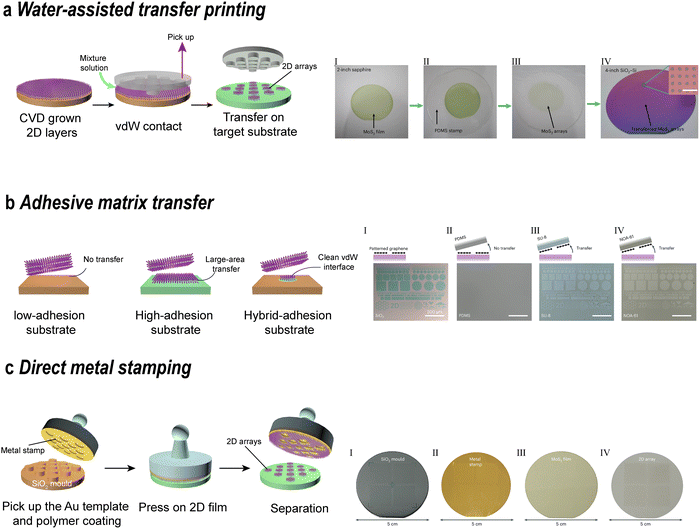 image file: d5cs00531k-f20.tif