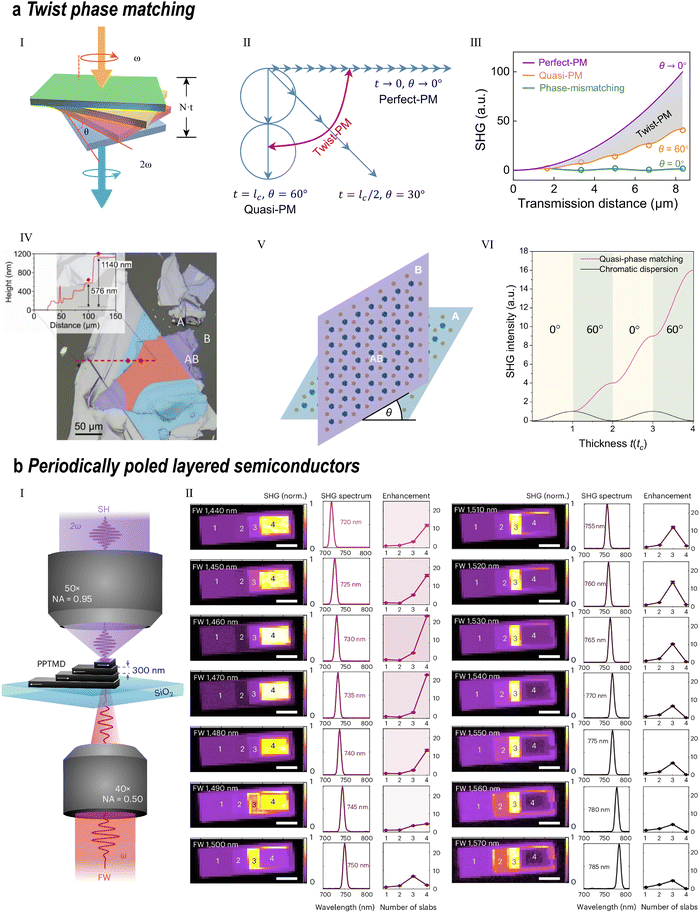 image file: d5cs00531k-f23.tif
