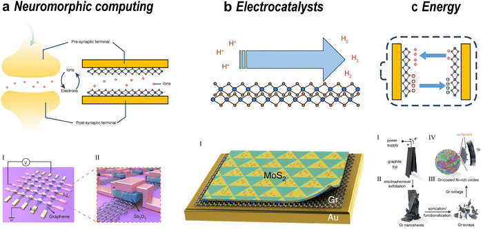 image file: d5cs00531k-f24.tif
