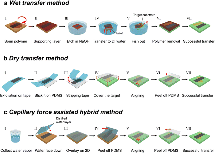 image file: d5cs00531k-f5.tif