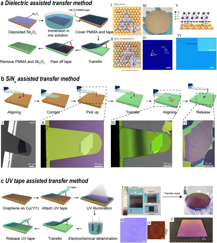 image file: d5cs00531k-f6.tif