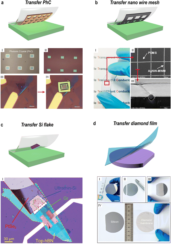 image file: d5cs00531k-f8.tif