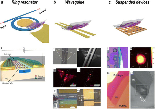 image file: d5cs00531k-f9.tif