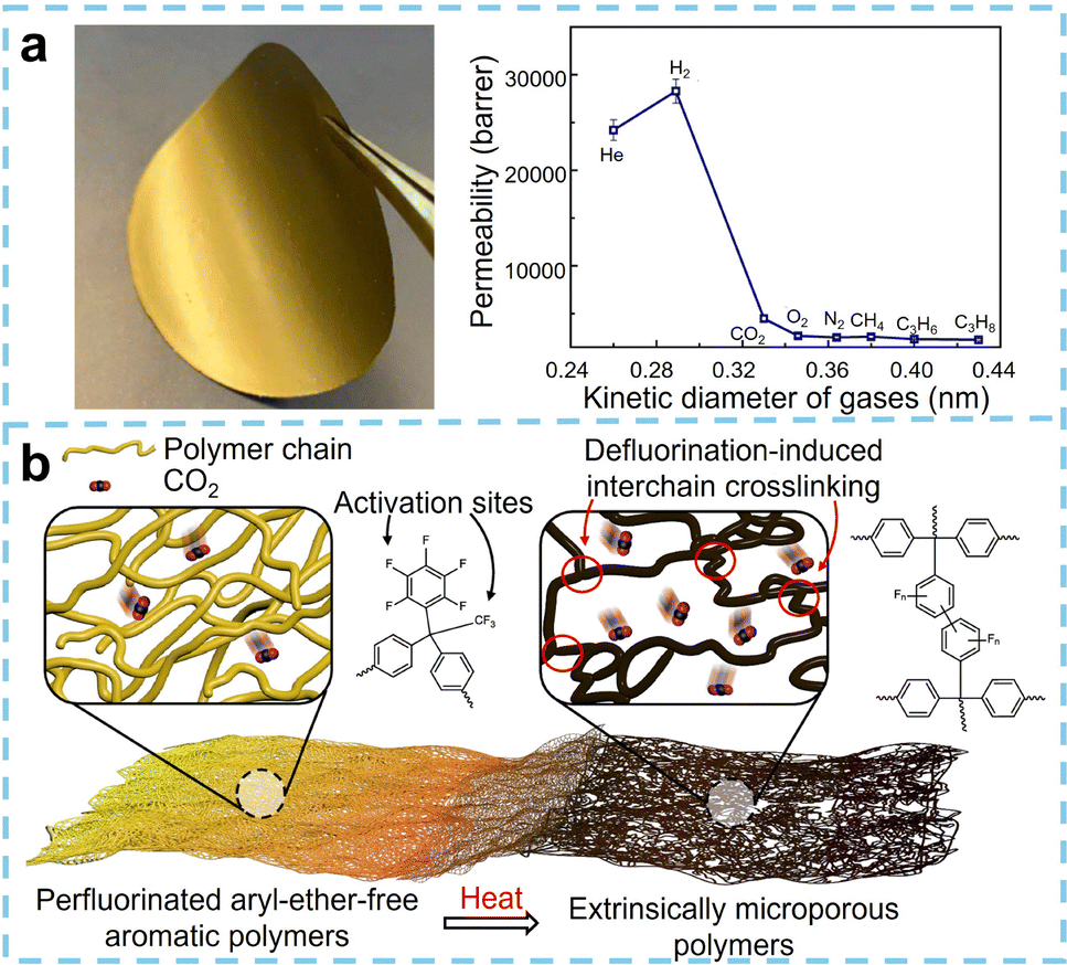 Processable microporous membranes: emerging platforms for