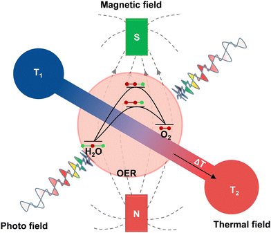 image file: d5cs00574d-f1.tif