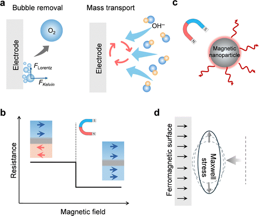 image file: d5cs00574d-f3.tif