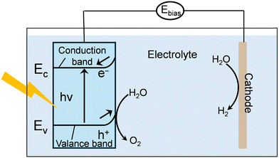 image file: d5cs00574d-f5.tif