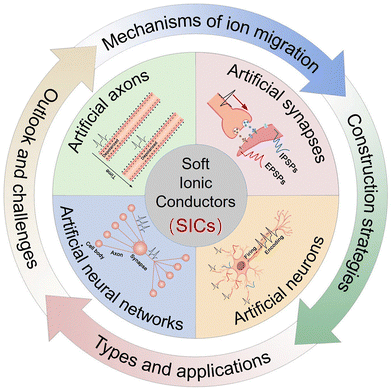 image file: d5cs00580a-f1.tif