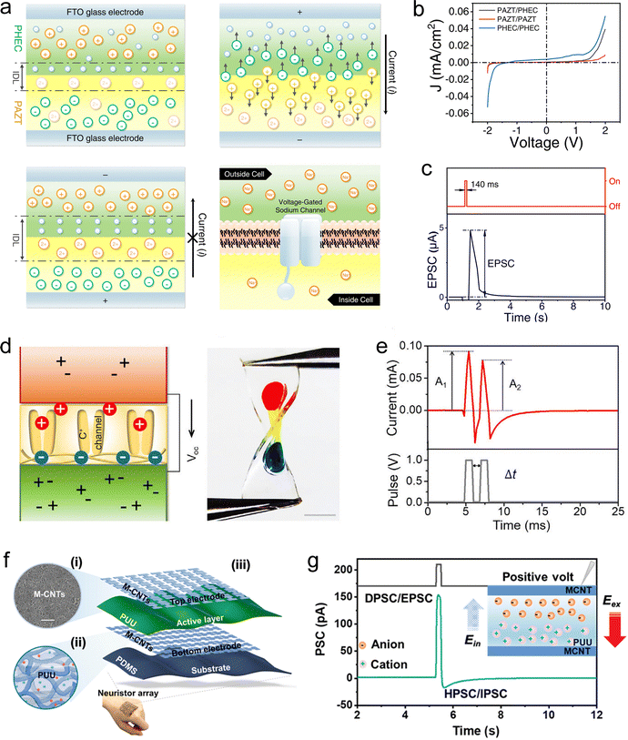 image file: d5cs00580a-f12.tif