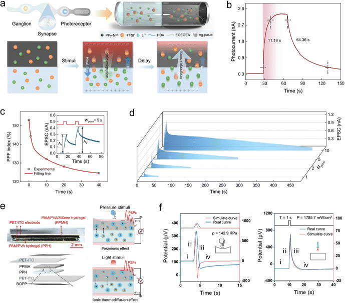 image file: d5cs00580a-f13.tif