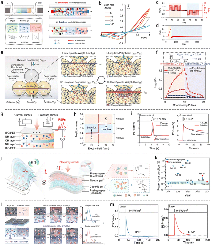 image file: d5cs00580a-f14.tif