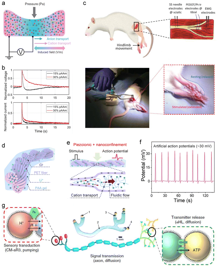 image file: d5cs00580a-f15.tif