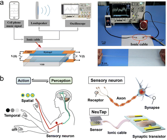 image file: d5cs00580a-f16.tif