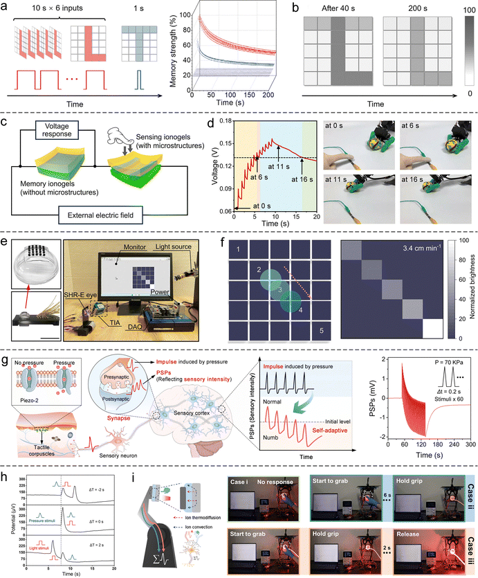 image file: d5cs00580a-f17.tif