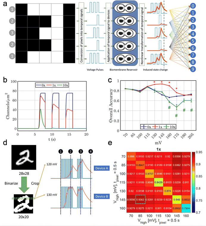 image file: d5cs00580a-f19.tif