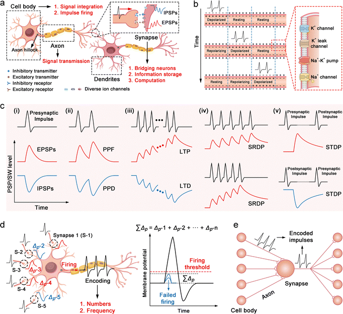 image file: d5cs00580a-f2.tif