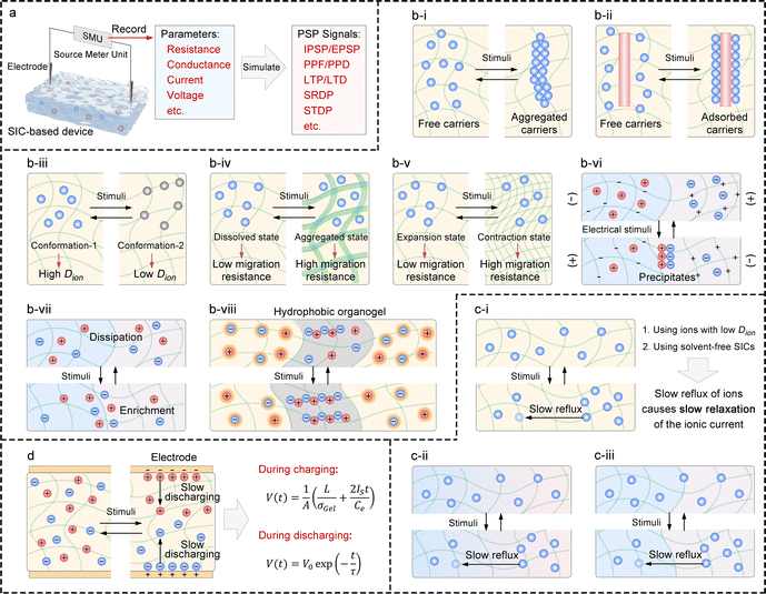image file: d5cs00580a-f5.tif