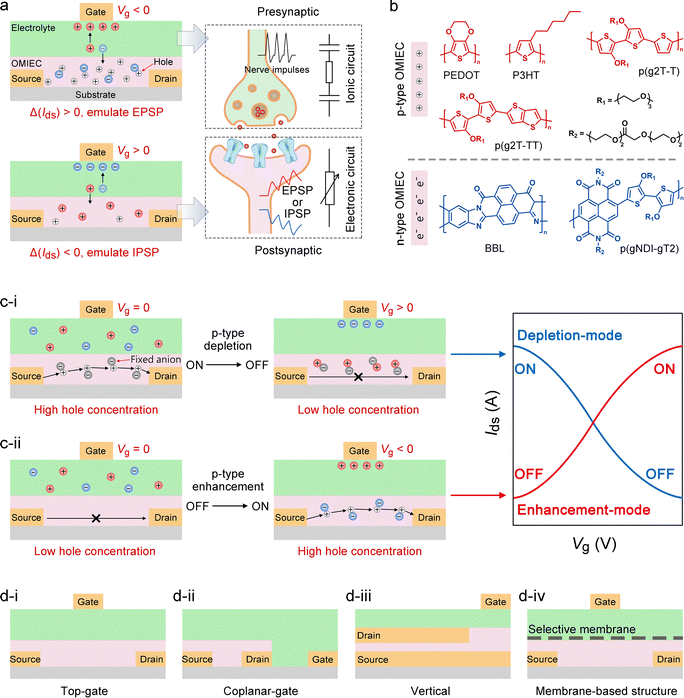 image file: d5cs00580a-f6.tif