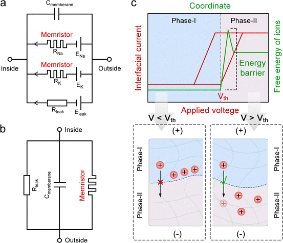 image file: d5cs00580a-f9.tif