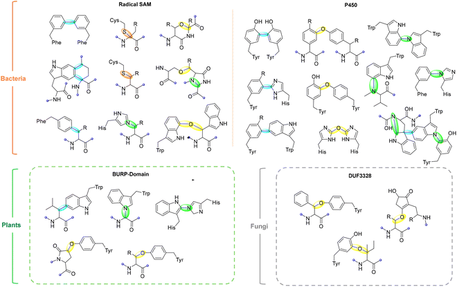 image file: d5cs00585j-f1.tif