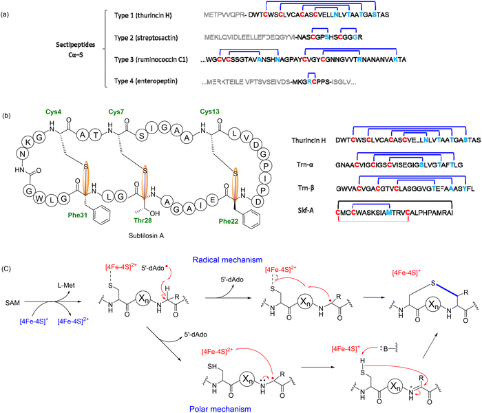 image file: d5cs00585j-f13.tif
