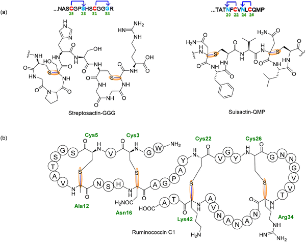 image file: d5cs00585j-f14.tif